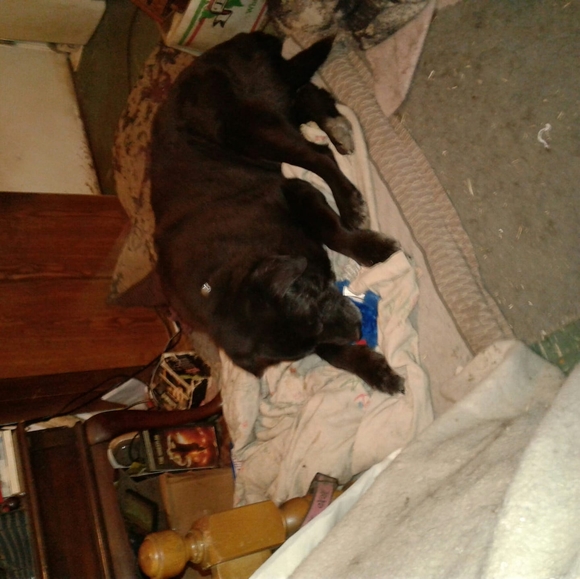 Meet your Posher, Marilyn - Picture 1 of 1